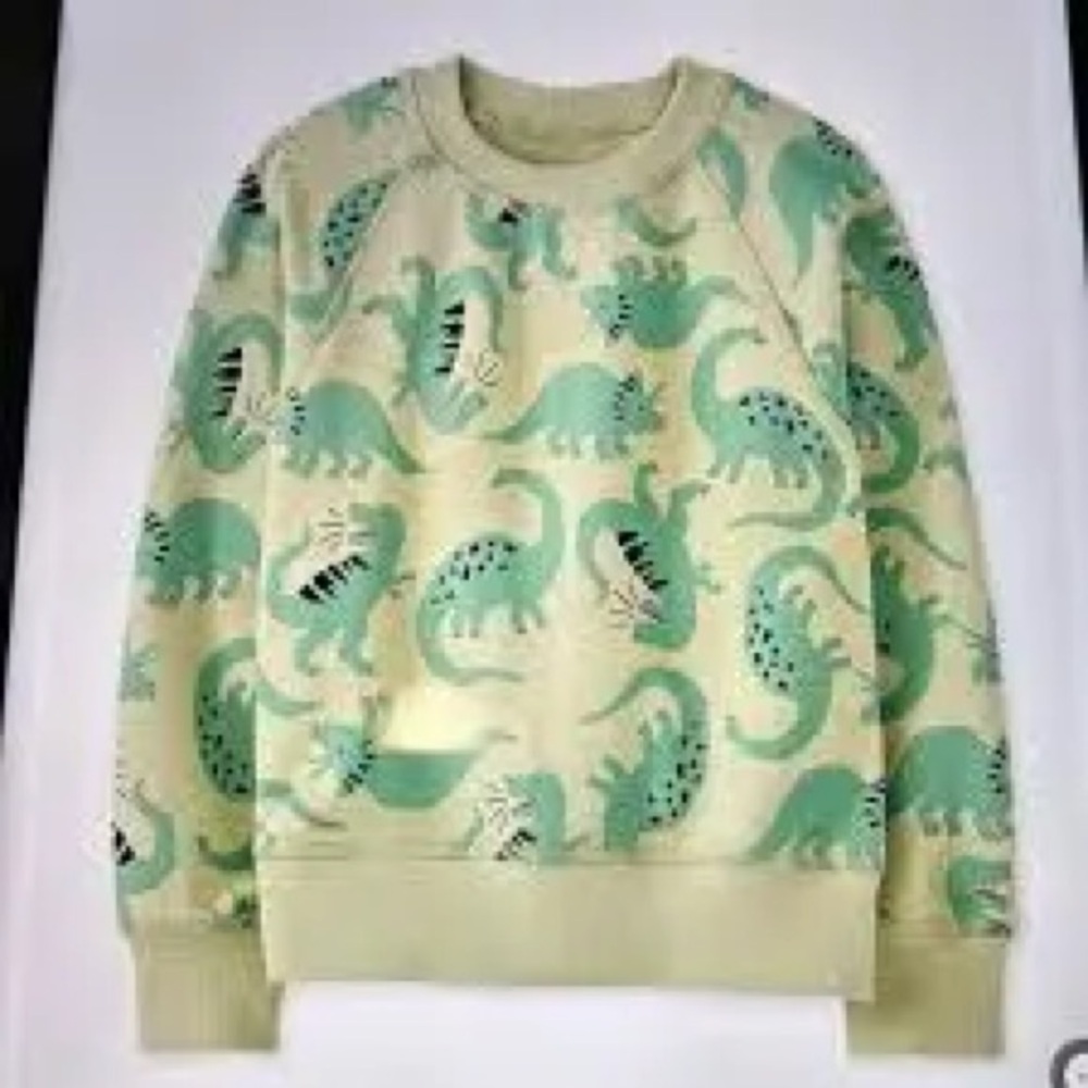 Hanna Andersson Green Dinosaur Terry Sweatshirt Size 4